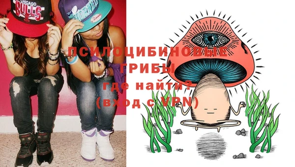 дмт Майский