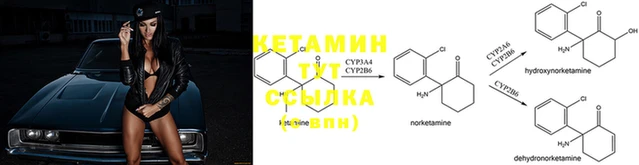соль курить ск Магадан