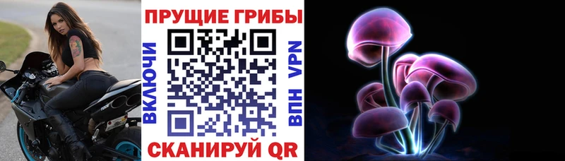 Галлюциногенные грибы прущие грибы Медвежьегорск